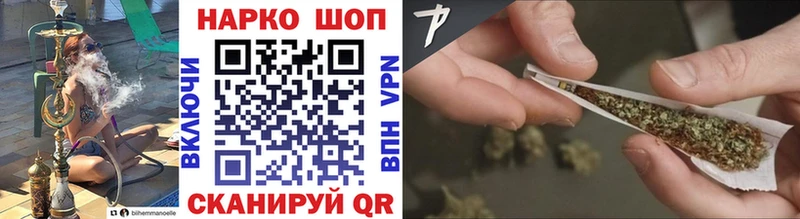 Где купить Западная Двина МЕФ 