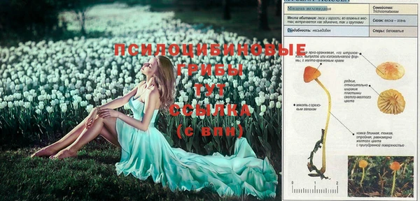 твердый Остров